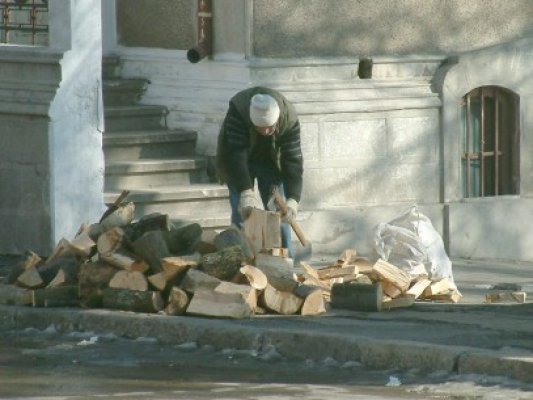 Depozit de lemne din Topalu, călcat de infractori